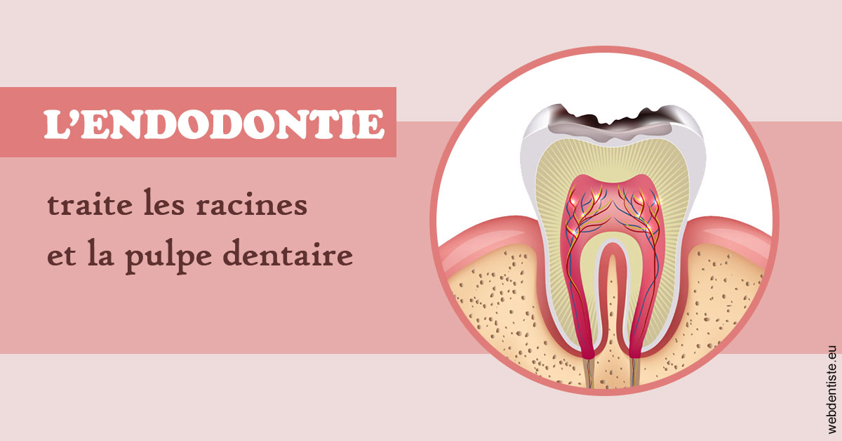 https://dr-elie-kikano.chirurgiens-dentistes.fr/L'endodontie 2