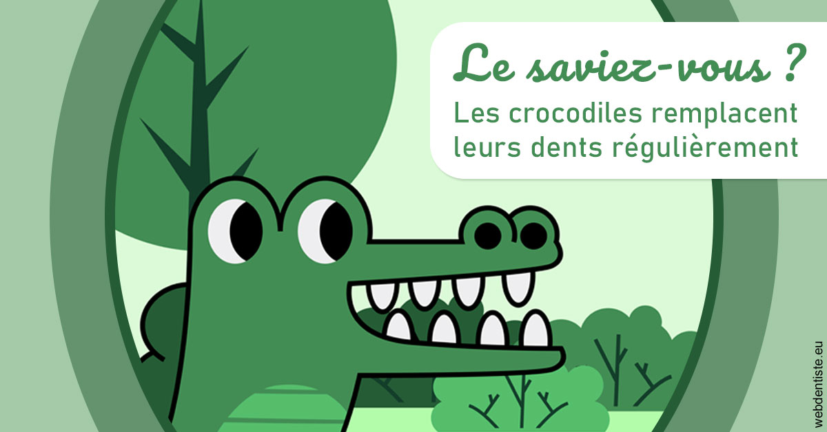 https://dr-elie-kikano.chirurgiens-dentistes.fr/Crocodiles 2